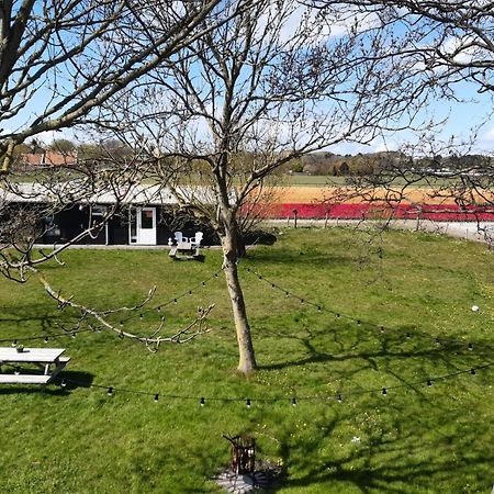 Chalet Egmond Egmond aan den Hoef Exteriör bild