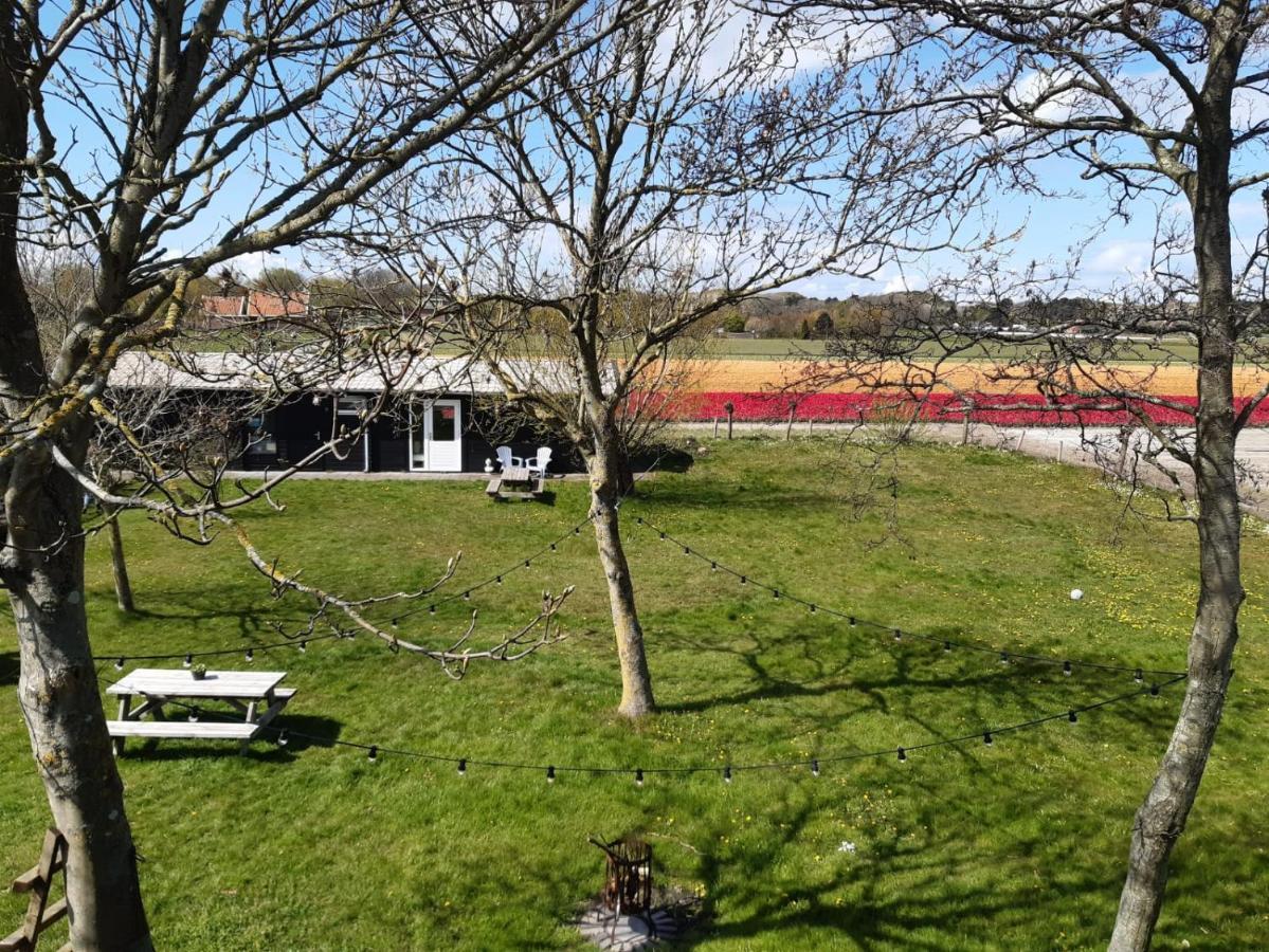 Chalet Egmond Egmond aan den Hoef Exteriör bild