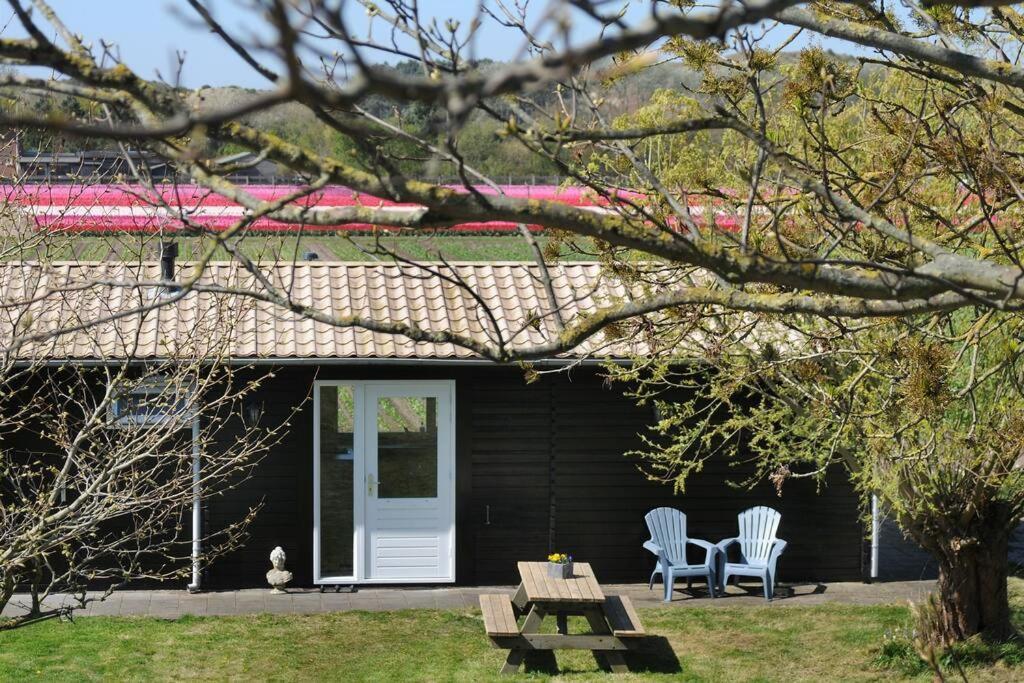 Chalet Egmond Egmond aan den Hoef Exteriör bild