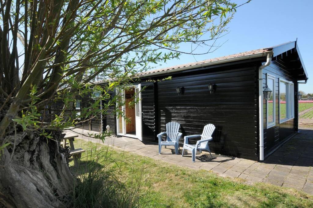 Chalet Egmond Egmond aan den Hoef Exteriör bild